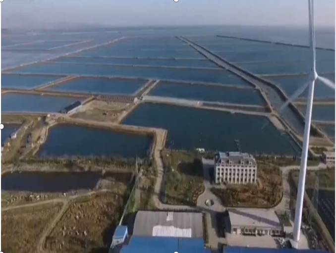 微信图片_20230626175332.png